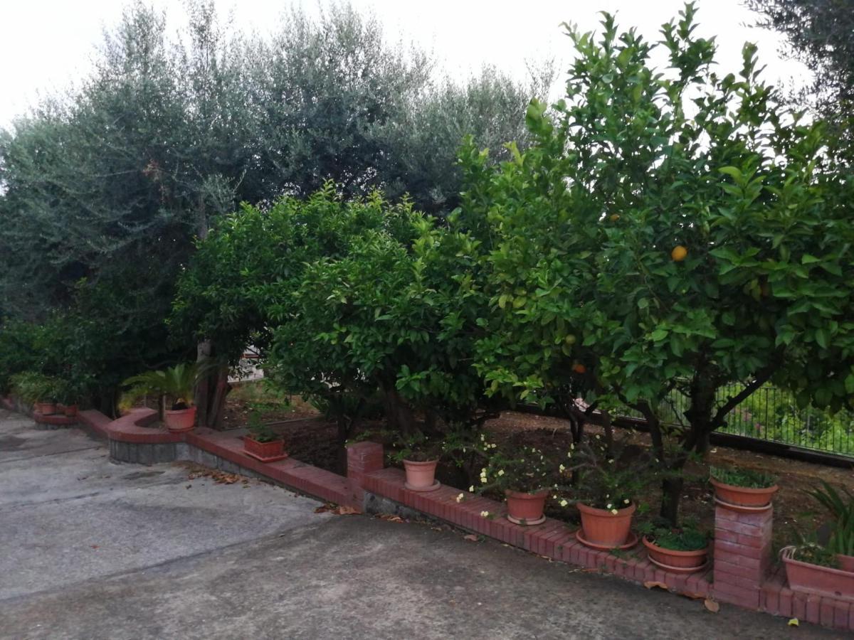 Villa Giannina Massa Lubrense Exterior foto