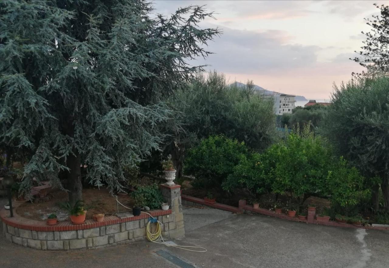 Villa Giannina Massa Lubrense Exterior foto